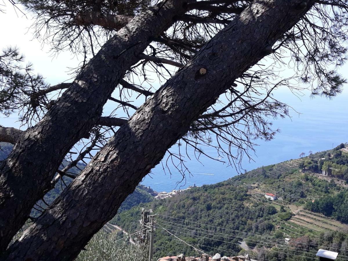Chez Il Pino Vernazza Vista Mare Eksteriør bilde