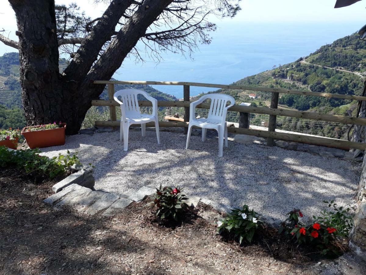 Chez Il Pino Vernazza Vista Mare Eksteriør bilde