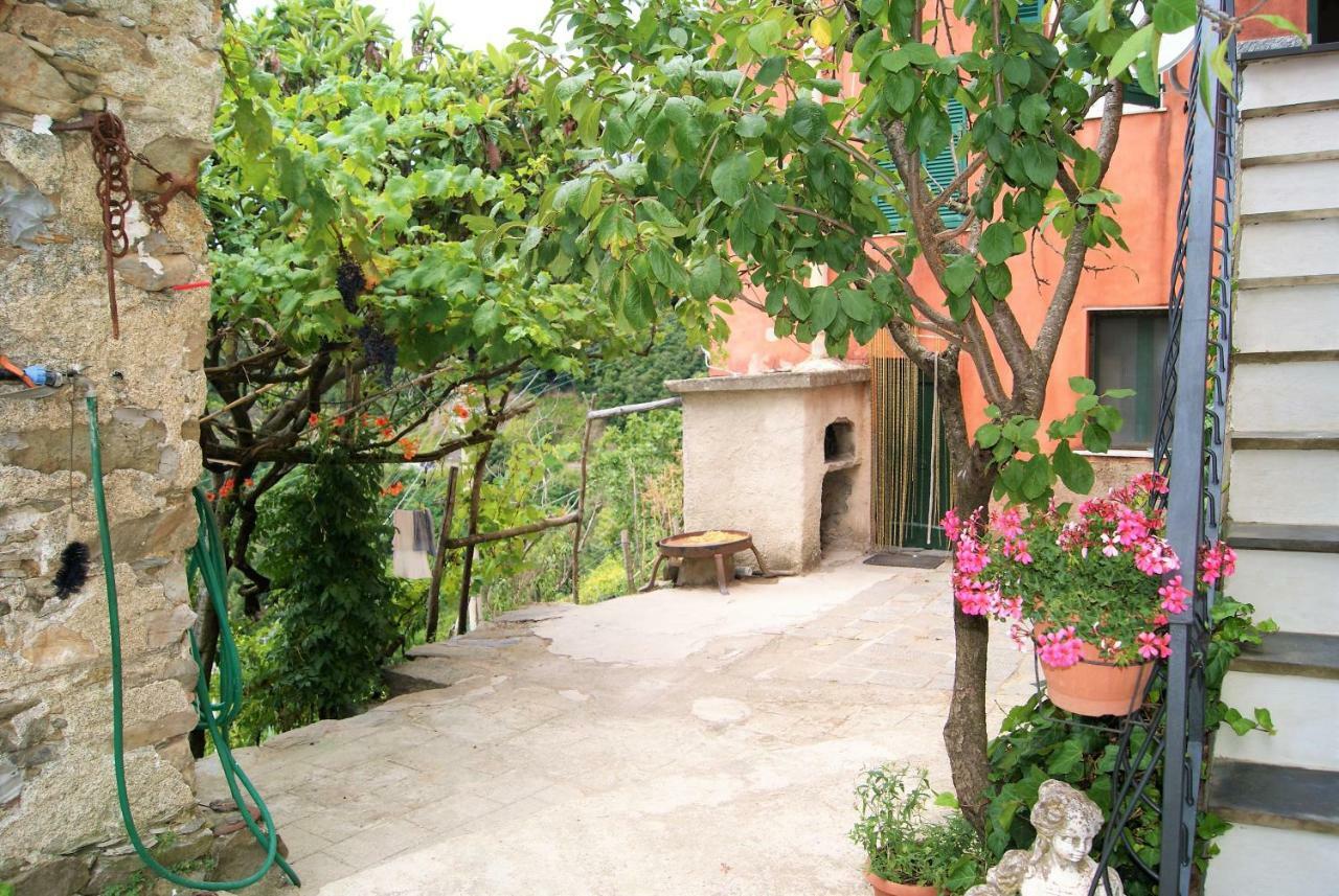 Chez Il Pino Vernazza Vista Mare Eksteriør bilde